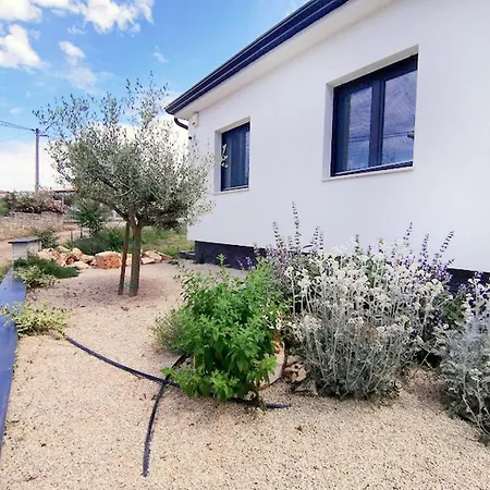 Oliva Strika By Interhome *